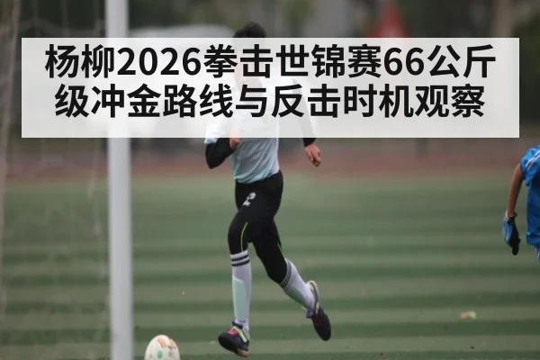 杨柳2026拳击世锦赛66公斤级冲金路线与反击时机观察